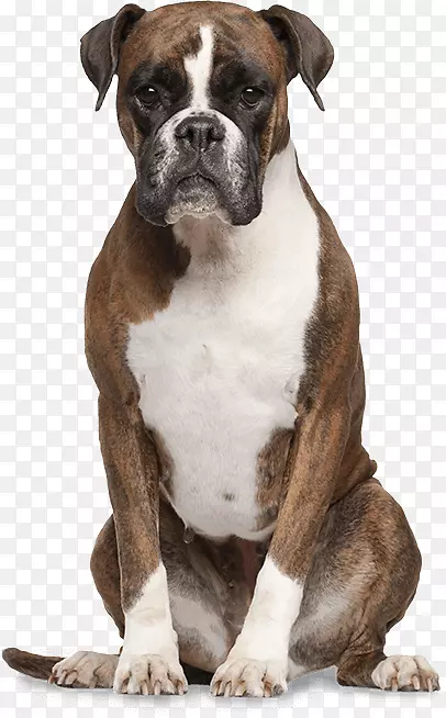 ȭ���ֽ�ë��ȮȮ���ɵ���ҽȮ-������