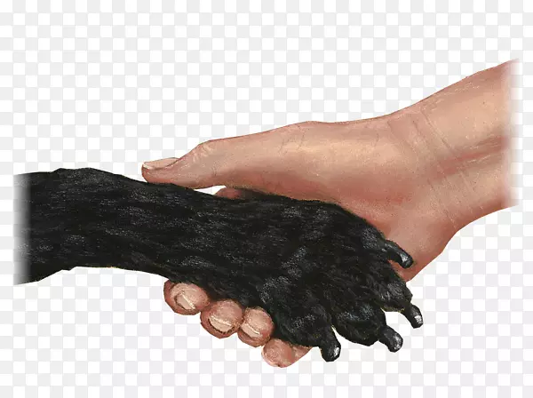 Ĵָ����-������