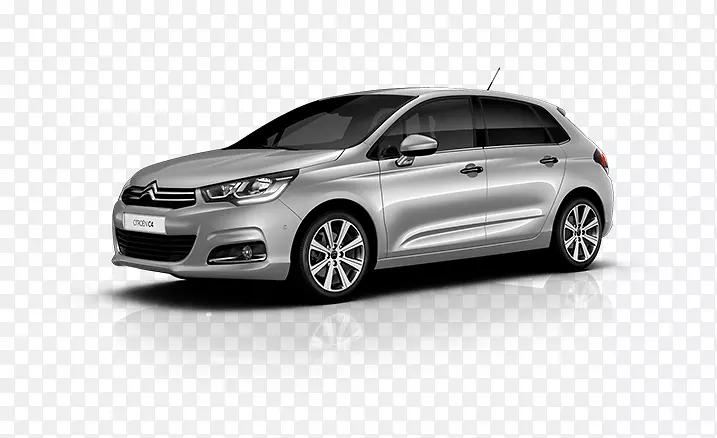 ѩ����c4�ϼ�������ѩ����-������