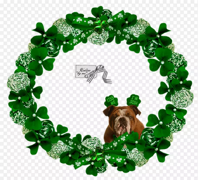 ����ľ������-������