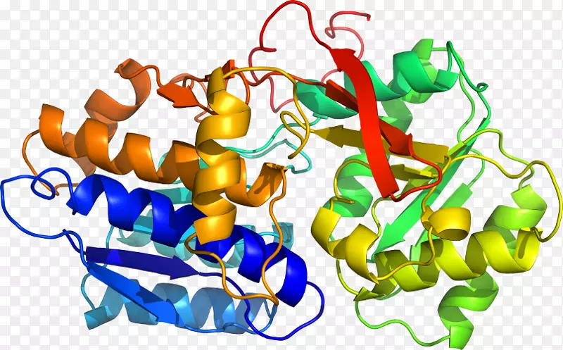 �л��������-������