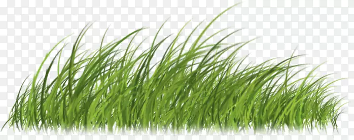 ��ƺ��������ʦ������Ʒ��Ȩ-������