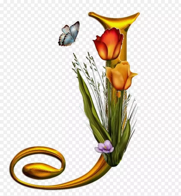 ��ĸ����ĸ-������-������