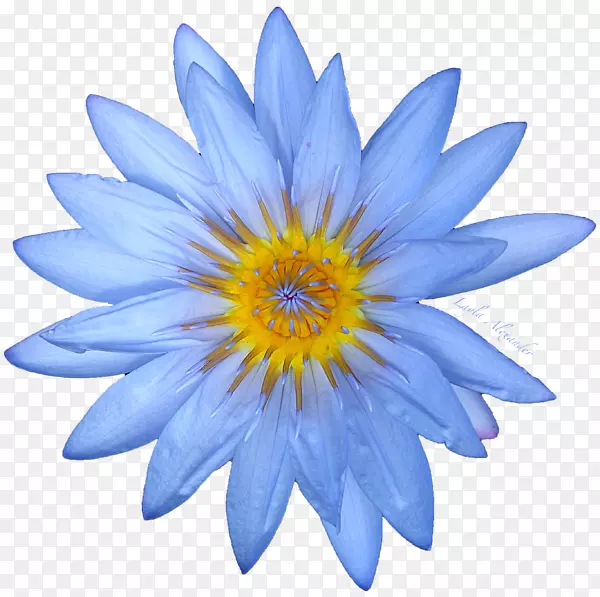 ���ޱ��ǰ����ɻ����ٺϼ�����ˮ�ٺ�-������