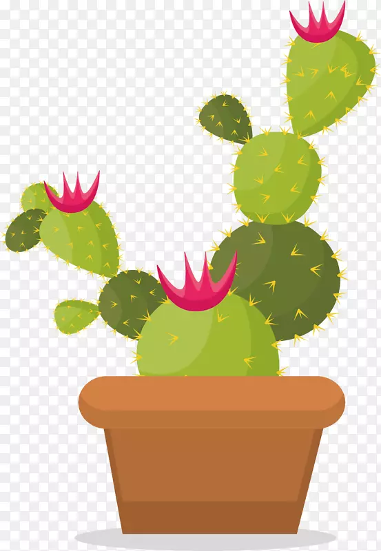 �����ƿƴ�������-������