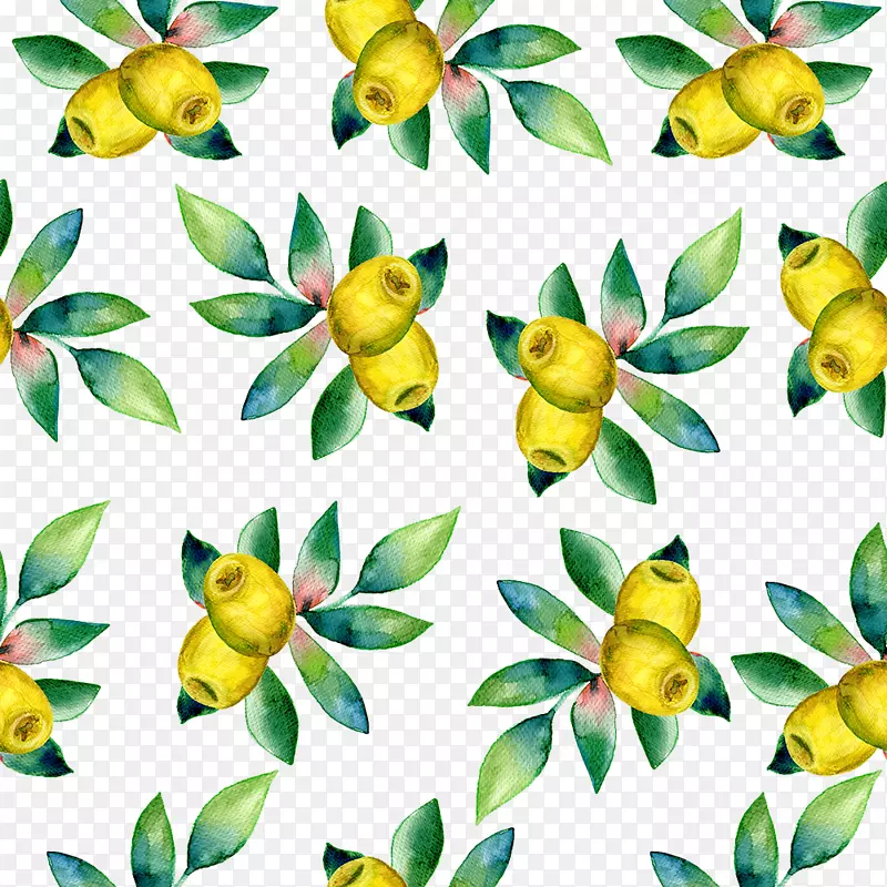 �����ֲ�������ͼ.Ϳ����͵���-������