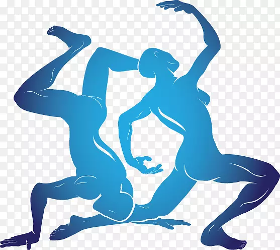 ˫����ռ��ѧ������ʮ����Ф-˫����-������