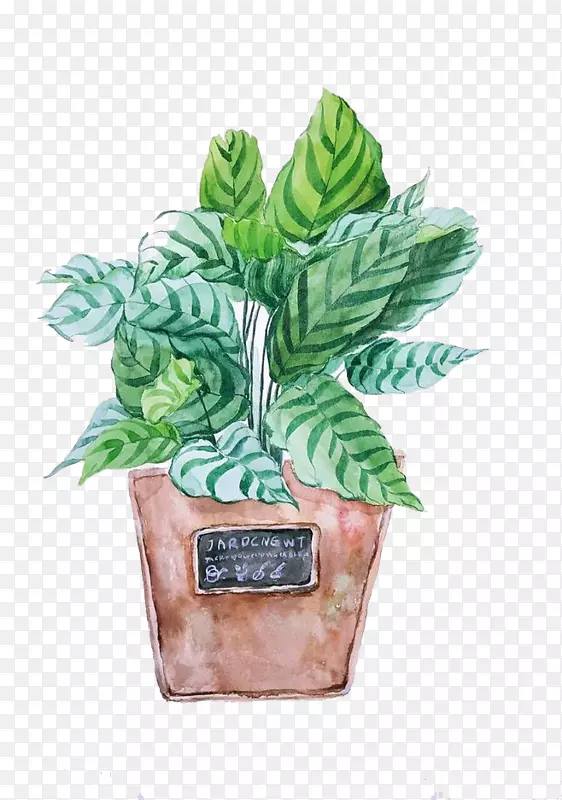 ˮ�ʻ�������.ˮ��ֲ��-������