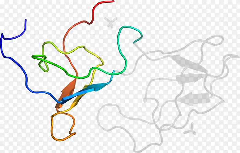 �ߵ������������-������