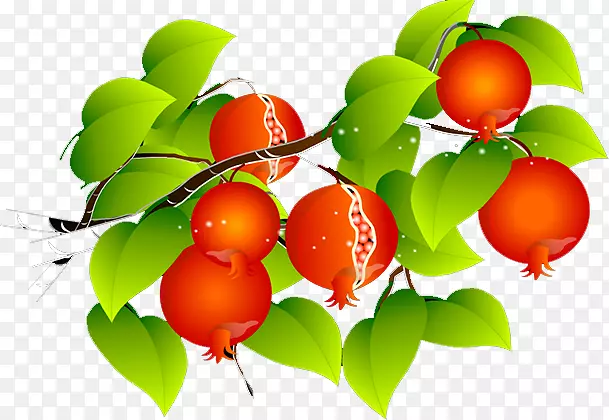 �ͰͶ�˹ӣ��ʯ��-������