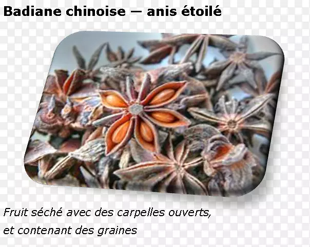 �����˽�ֲ������-������