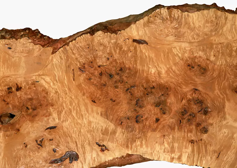 ľֽ����ӳ������ɫ-ľ��-������