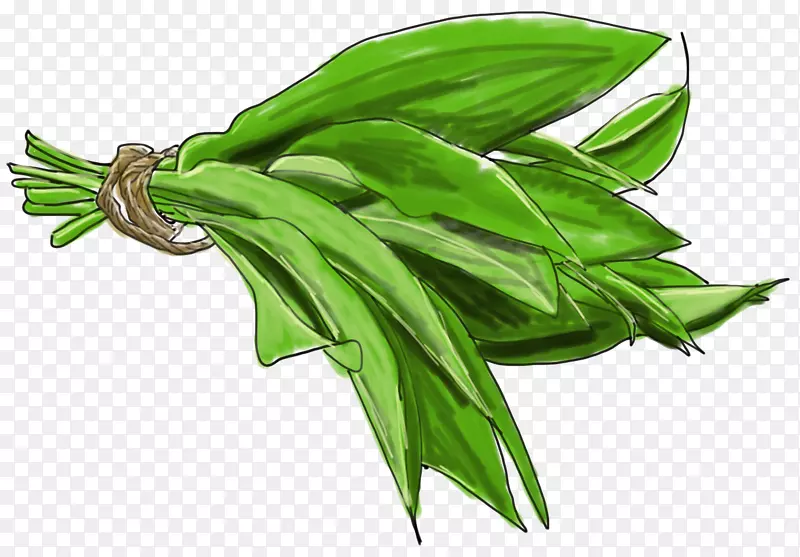 �߲˾²�-����Ƭ-������