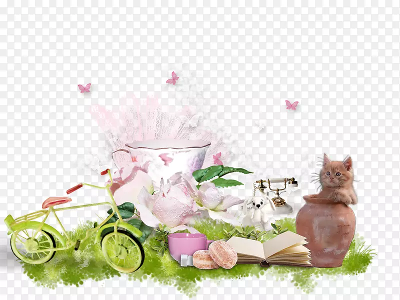 ���Ĳ���-������