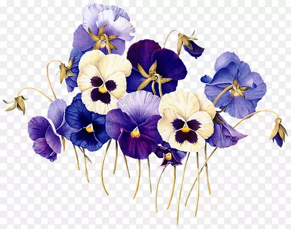 ����ֲ��ѧ��ͼֲ��ѧ��������-������