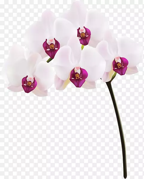 �ɶ�����������-����-������