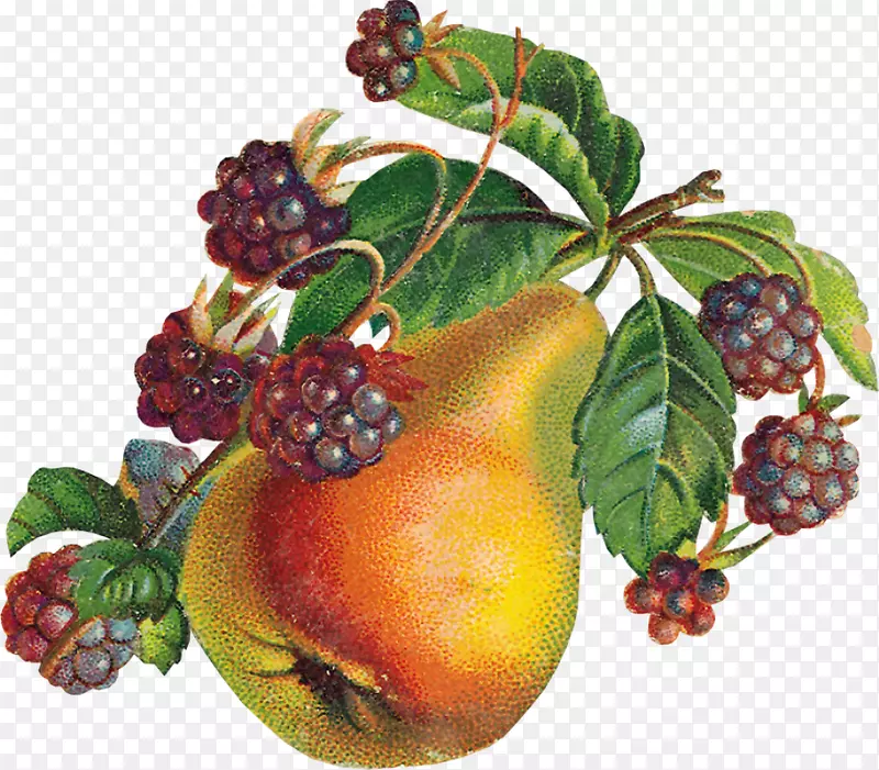 ��Ӱˮ������ʳƷ������ˮ��-������