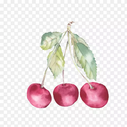 ˮ�ʻ��¸���˹ӣ�Ҳ�ͼ-ӣ��-������