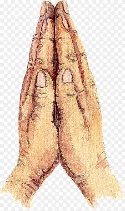 ����������-�����-������