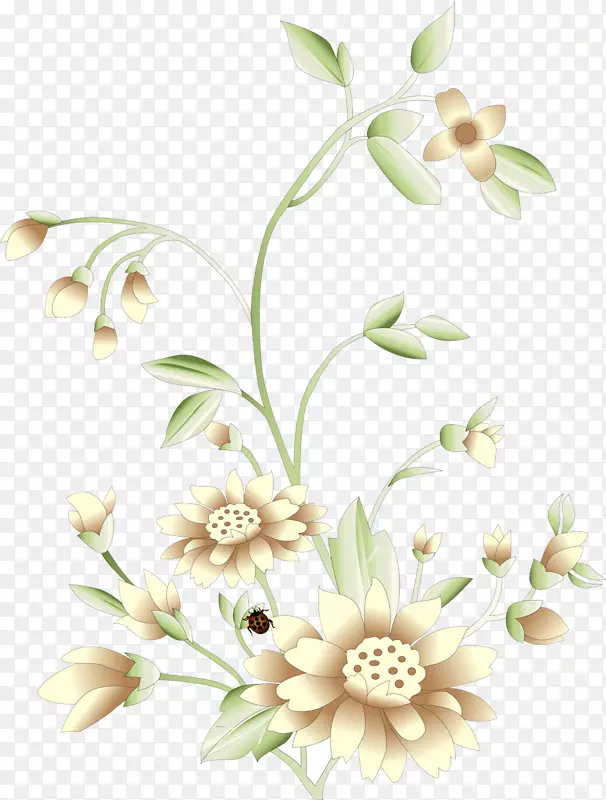 ��������л�����ֲ�ﾥ��-������