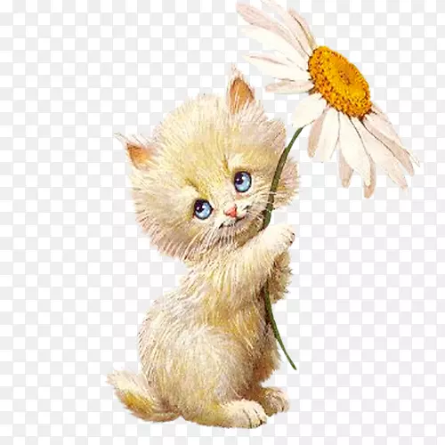 ������ֽ-Сè-������