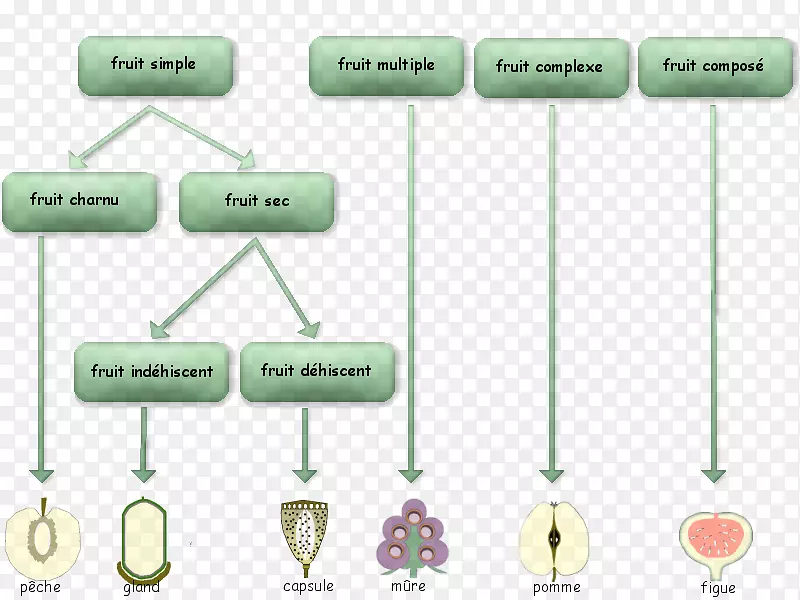 ����ʿ�ɹ����ѣ��¸���˹������ʿ��������-ˮ����-������