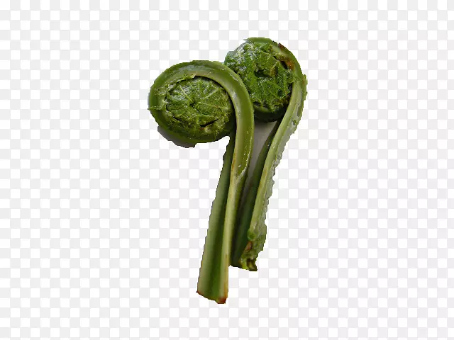 Ҷֲ�ﾥ-����-������