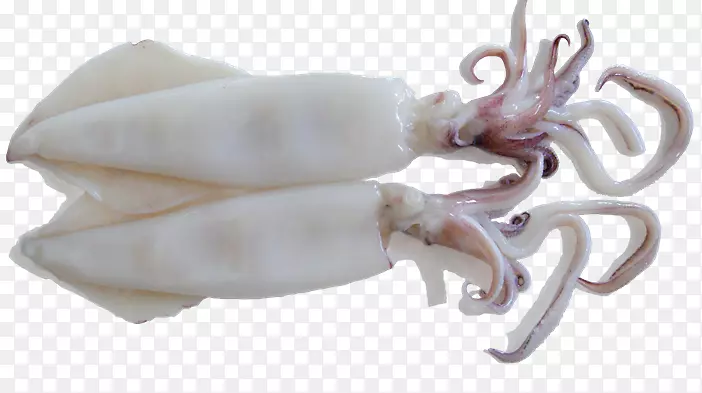 �����Ǵ���-������