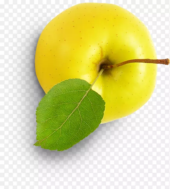 ʷ��˹������ȻʳƷ������Ӱ-ũҵ-������