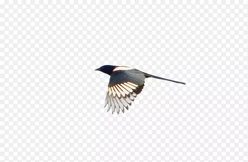 �����-������