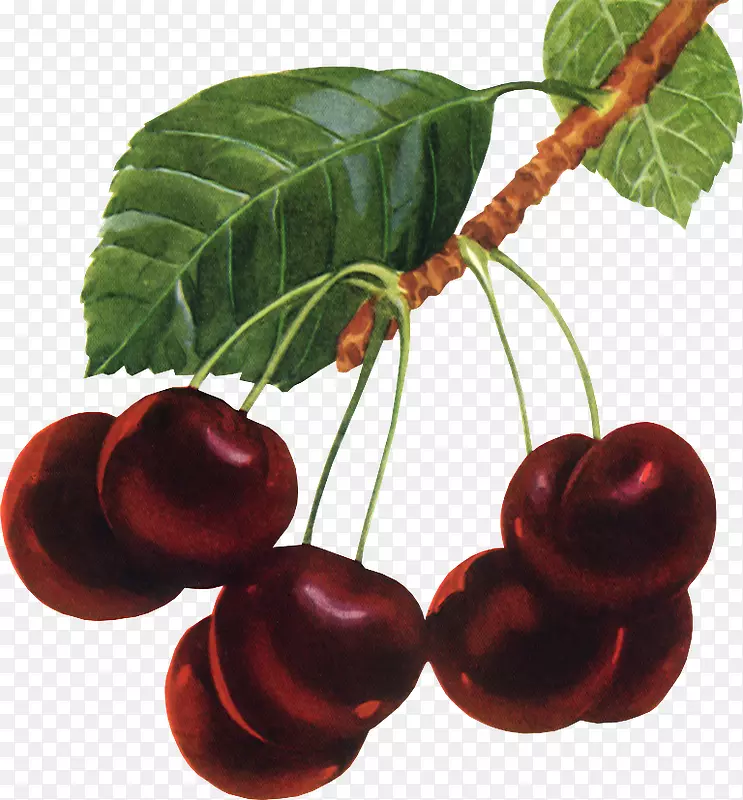 �˽ǽ���ӣ��-MF-������