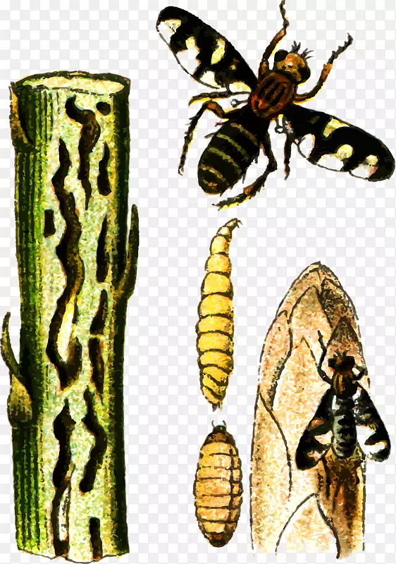 ����-�۷������-������