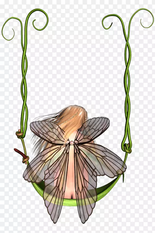 ����ֲ�ﾥҶ��-������