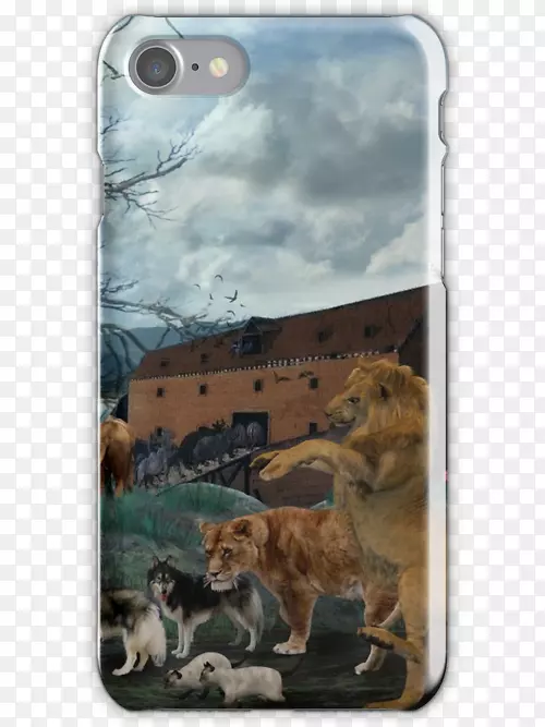 �������ʨ��ŵ�Ƿ���-������