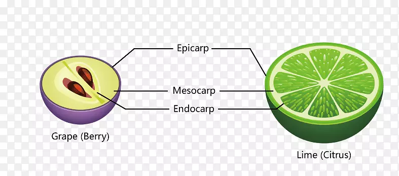 ����������ѽ�������-������