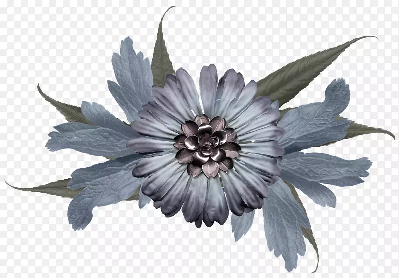 ����ֲ��-ֲ��-������