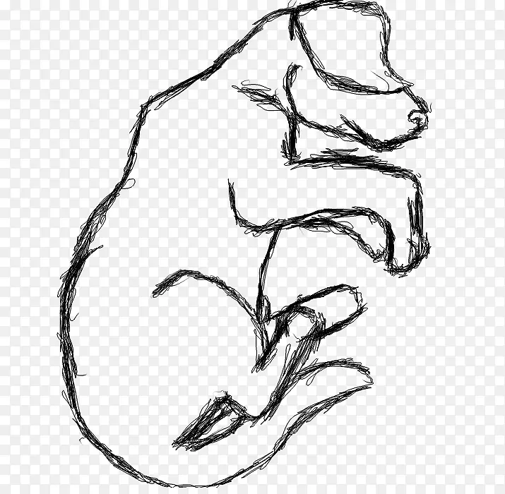 ʳ����ָ�Ӿ���������˯������-������