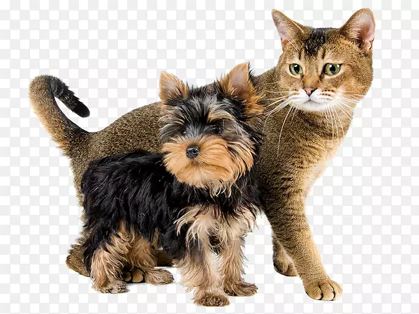 èʳ��������ҽ-Ǯ-������