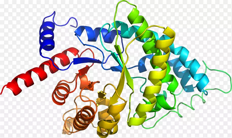 �߲��л��������-�߲�-������