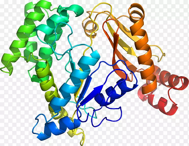 ���������л����߼�������-������