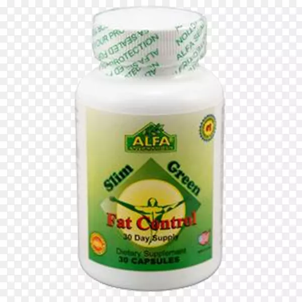 ������ά���ظ�˹����Ӽ���֬������-������