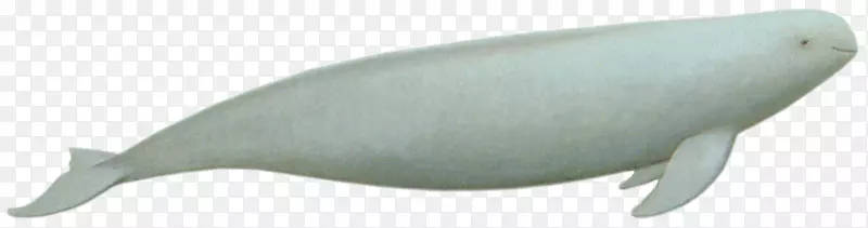 �������㶯��-����ѷ��-������