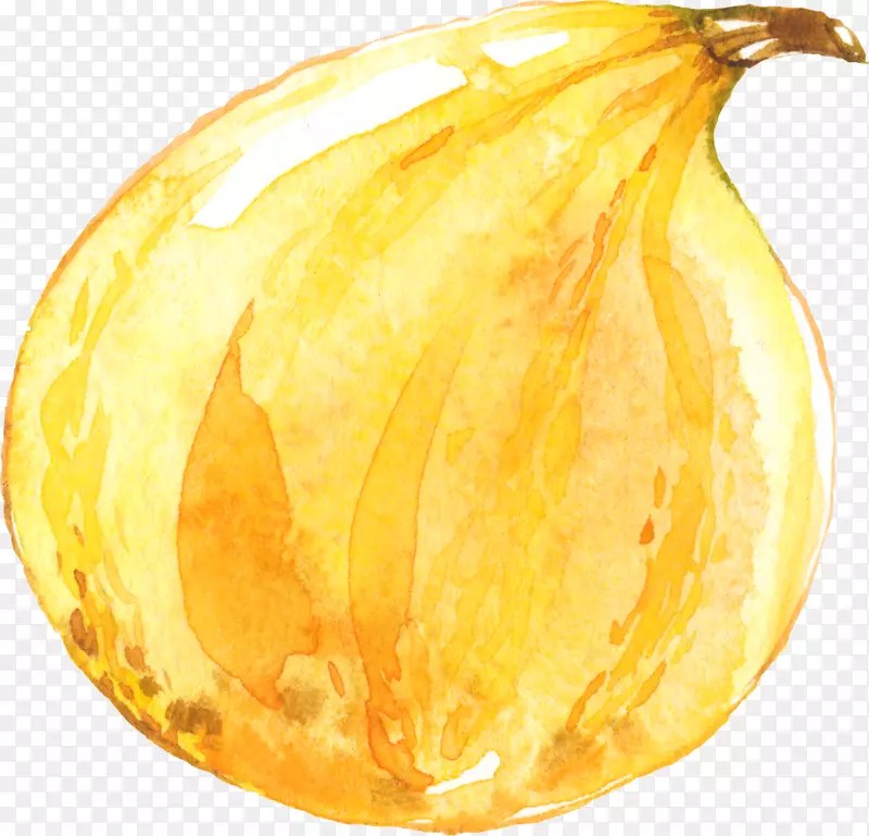 �ȸ�ͼƬ���ʦ����-�����Ϲ�-������