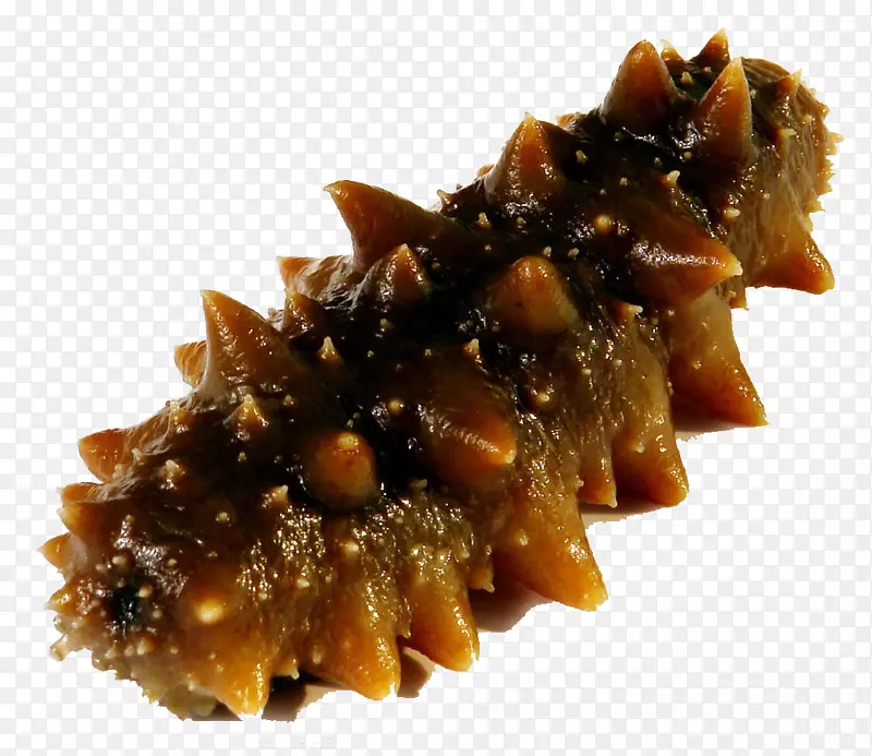 ����Ϊʳ-������