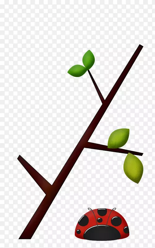 �滭���ͼ�����-������-������