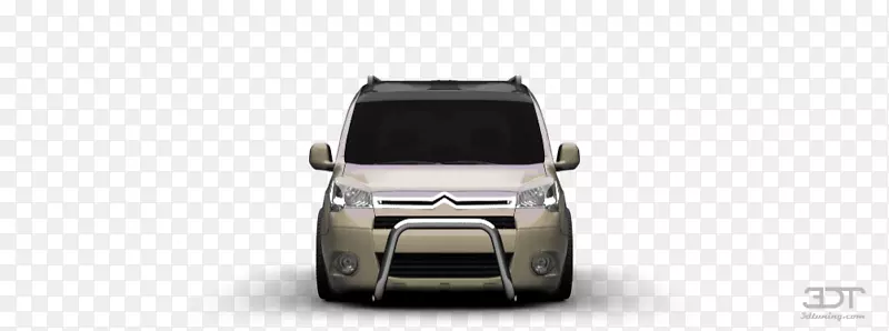 �������ų��������������ѩ�������ָ�-������