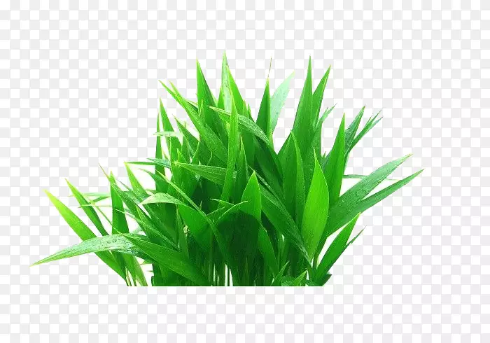 ֲ�ﻨ��-��-������