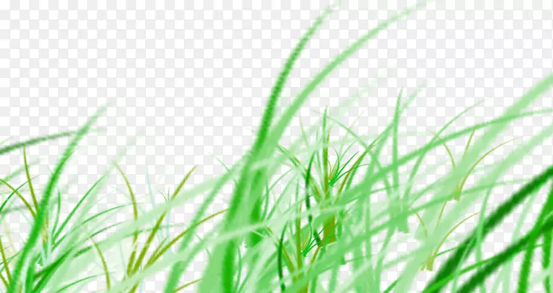 ����googleͼƬ-GRASS-������