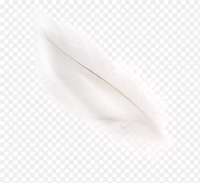 ��ɫ��ë����-������