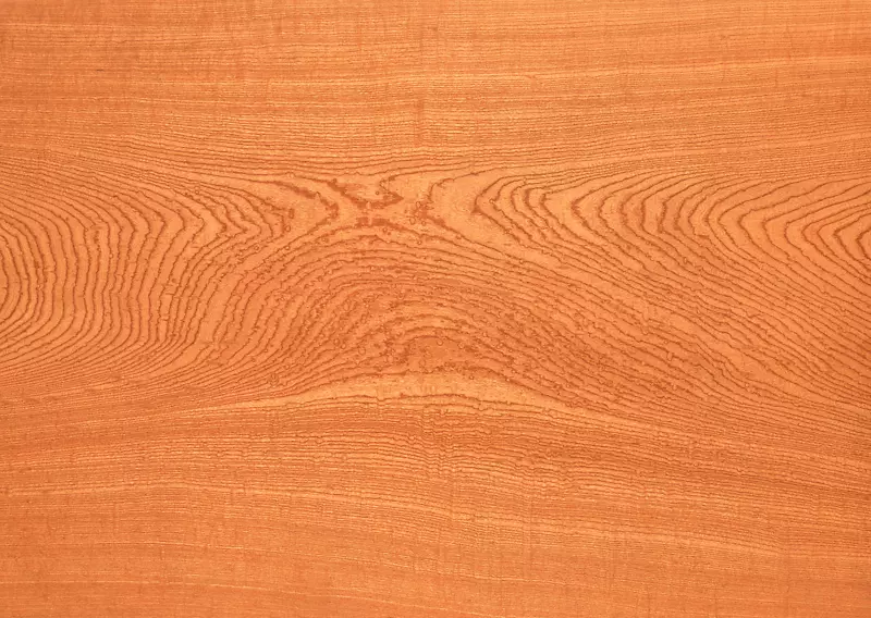 ľ�ذ�Ⱦɫ�ὺ�ϰ�.ľ��-������